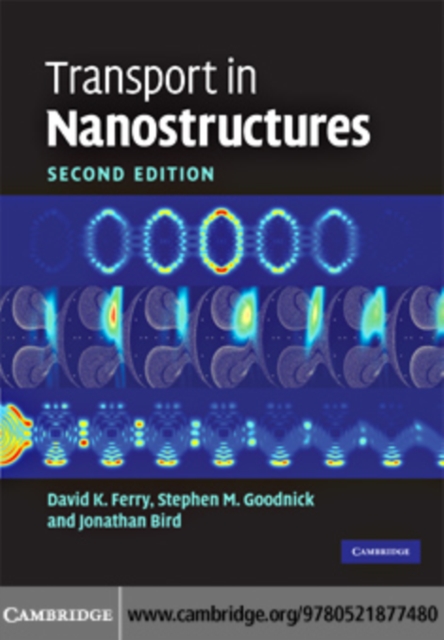 Transport in Nanostructures, PDF eBook