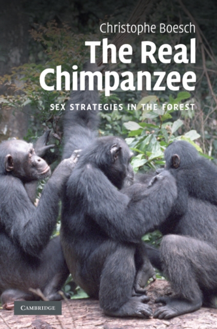 Real Chimpanzee : Sex Strategies in the Forest, EPUB eBook