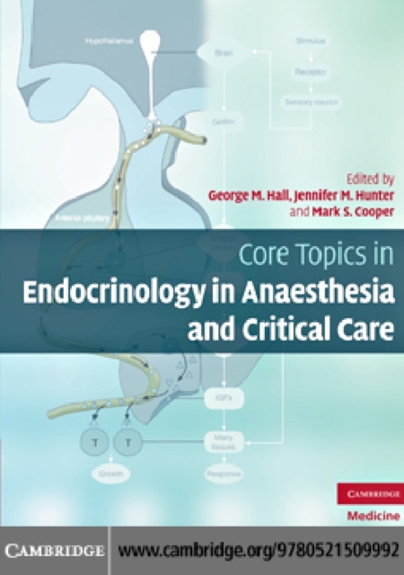 Core Topics in Endocrinology in Anaesthesia and Critical Care, PDF eBook