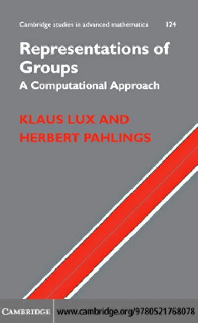 Representations of Groups : A Computational Approach, PDF eBook