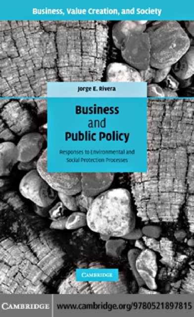 Business and Public Policy : Responses to Environmental and Social Protection Processes, PDF eBook