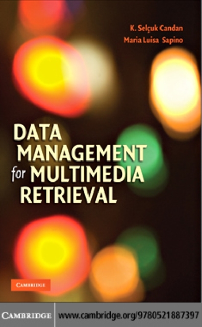 Data Management for Multimedia Retrieval, PDF eBook