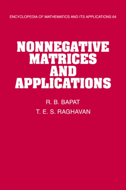 Nonnegative Matrices and Applications, PDF eBook