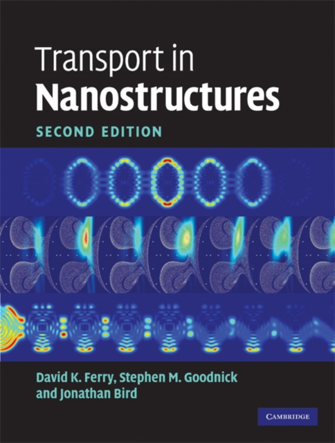 Transport in Nanostructures, EPUB eBook