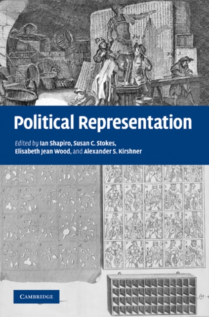 Political Representation, EPUB eBook