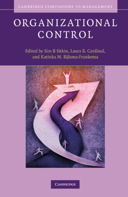 Organizational Control, EPUB eBook
