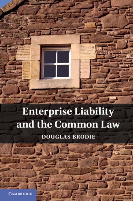 Enterprise Liability and the Common Law, EPUB eBook