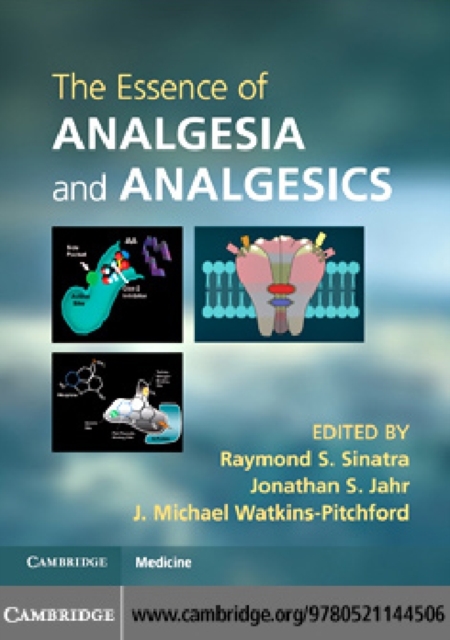 Essence of Analgesia and Analgesics, PDF eBook