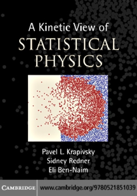 Kinetic View of Statistical Physics, PDF eBook