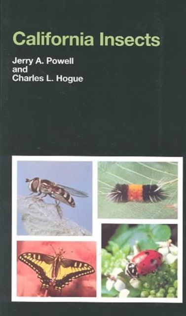 California Insects, Paperback / softback Book