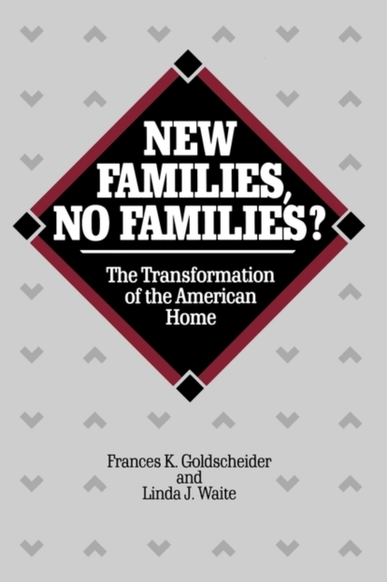 New Families, No Families? : The Transformation of the American Home, Paperback / softback Book