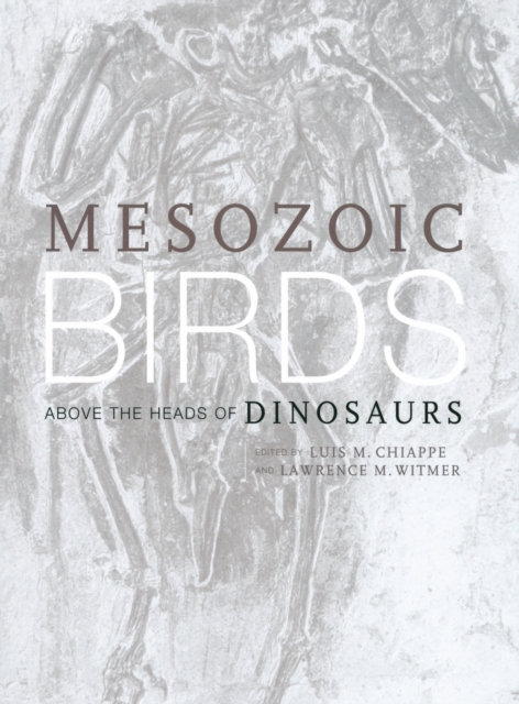 Mesozoic Birds : Above the Heads of Dinosaurs, Hardback Book