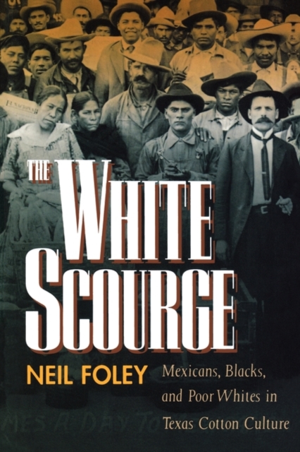 The White Scourge : Mexicans, Blacks, and Poor Whites in Texas Cotton Culture, Paperback / softback Book