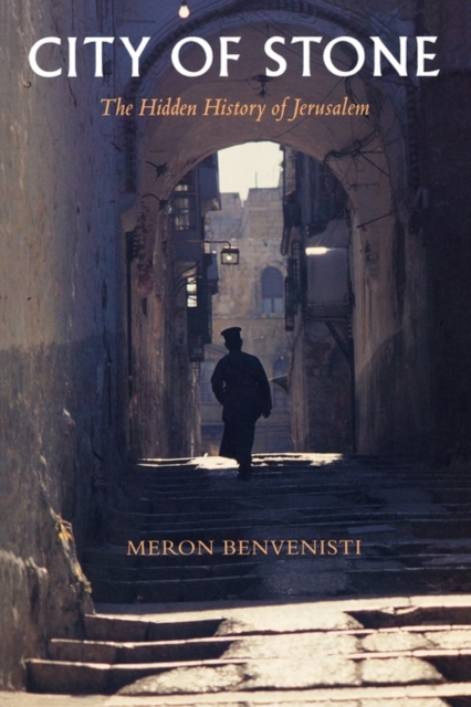 City of Stone : The Hidden History of Jerusalem, Paperback / softback Book