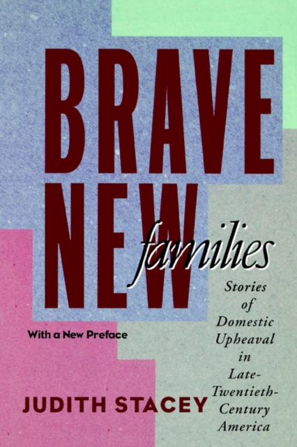 Brave New Families : Stories of Domestic Upheaval in Late-Twentieth-Century America, Paperback / softback Book