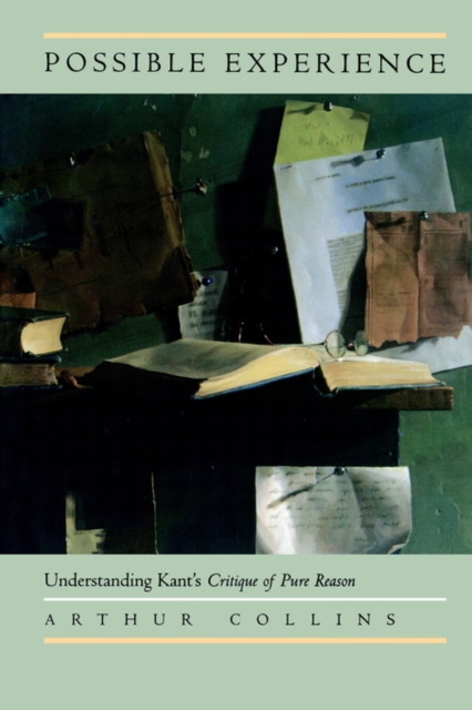 Possible Experience : Understanding Kant's Critique of Pure Reason, Paperback / softback Book