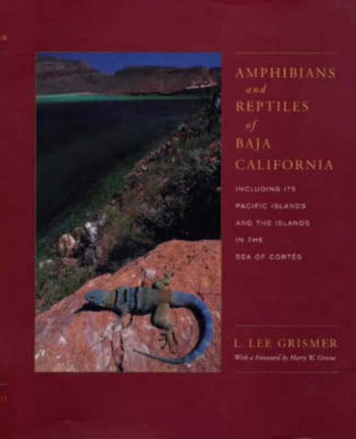 Amphibians and Reptiles of Baja California, Including Its Pacific Islands and the Islands in the Sea of Cortes, Hardback Book
