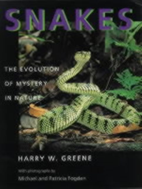 Snakes : The Evolution of Mystery in Nature, Paperback / softback Book