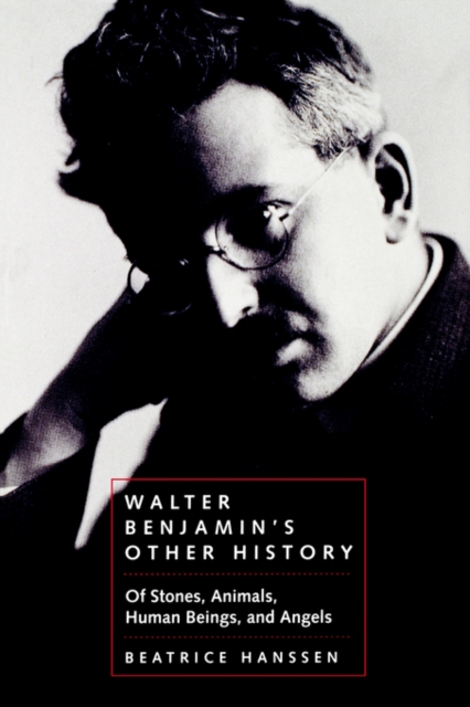 Walter Benjamin's Other History : Of Stones, Animals, Human Beings, and Angels, Paperback / softback Book