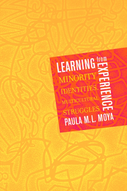 Learning from Experience : Minority Identities, Multicultural Struggles, Paperback / softback Book