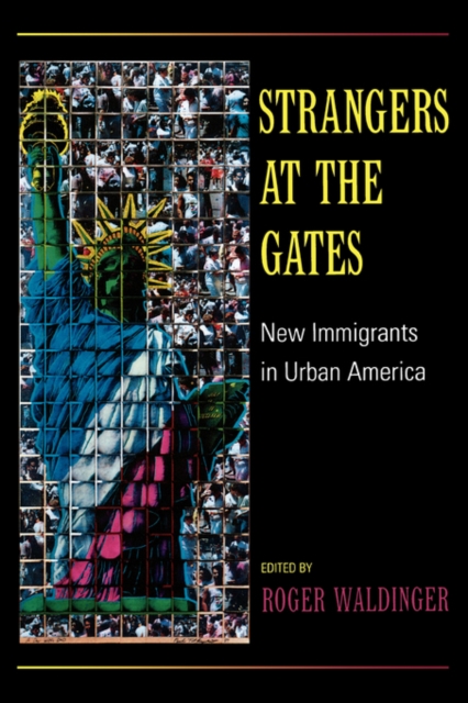 Strangers at the Gates : New Immigrants in Urban America, Paperback / softback Book
