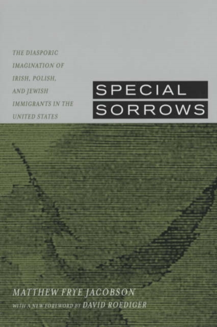 Special Sorrows : The Diasporic Imagination of Irish, Polish, and Jewish Immigrants in the United States, Paperback / softback Book