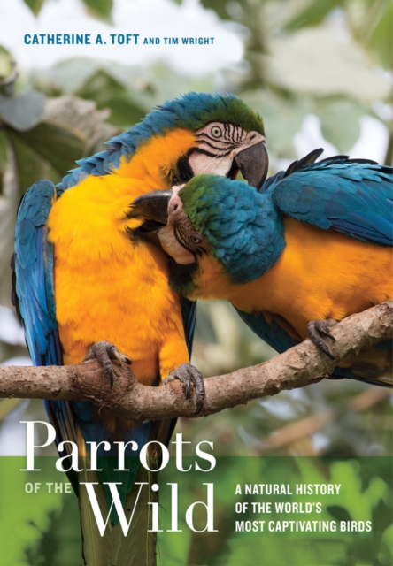 Parrots of the Wild : A Natural History of the World’s Most Captivating Birds, Hardback Book