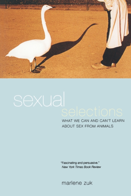 Sexual Selections : What We Can and Can't Learn about Sex from Animals, Paperback / softback Book