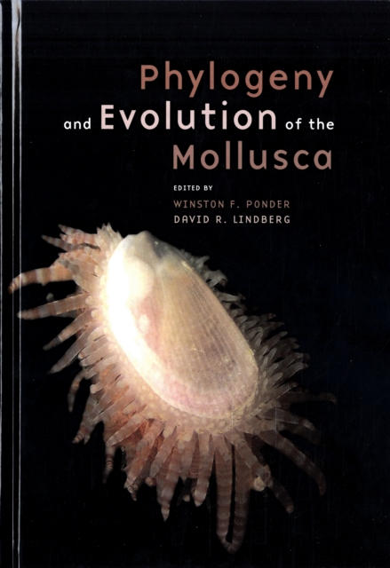 Phylogeny and Evolution of the Mollusca, Hardback Book