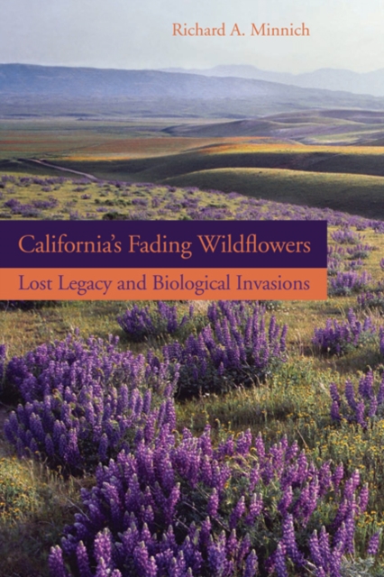 California’s Fading Wildflowers : Lost Legacy and Biological Invasions, Hardback Book
