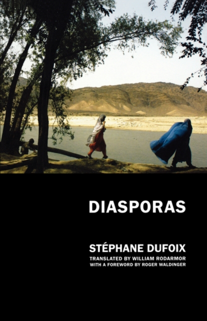 Diasporas, Paperback / softback Book