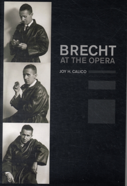 Brecht at the Opera, Hardback Book