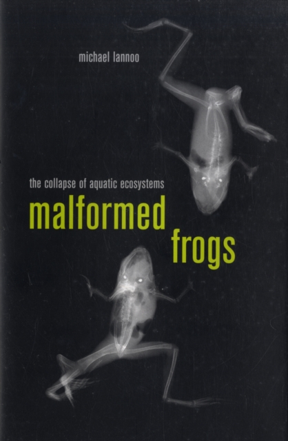Malformed Frogs : The Collapse of Aquatic Ecosystems, Hardback Book