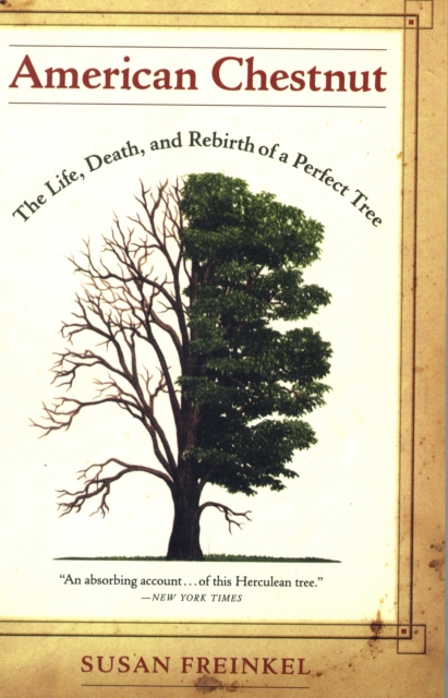 American Chestnut : The Life, Death, and Rebirth of a Perfect Tree, Paperback / softback Book