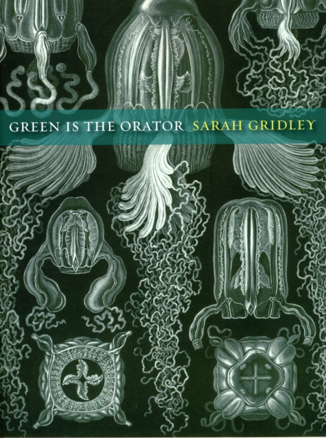 Green is the Orator, Paperback / softback Book
