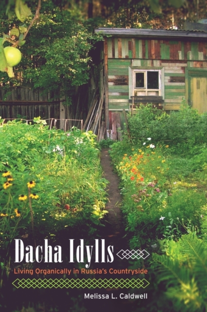 Dacha Idylls : Living Organically in Russia's Countryside, Paperback / softback Book