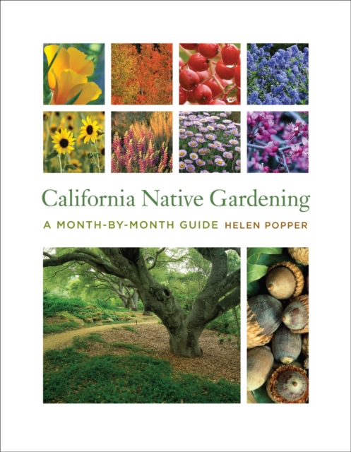 California Native Gardening : A Month-by-Month Guide, Paperback / softback Book