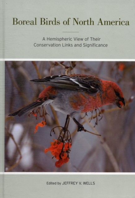 Boreal Birds of North America : A Hemispheric View of Their Conservation Links and Significance, Hardback Book