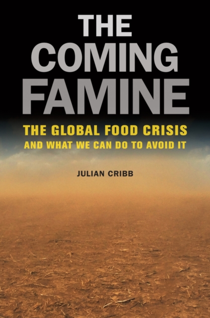 The Coming Famine : The Global Food Crisis and What We Can Do to Avoid It, Paperback / softback Book