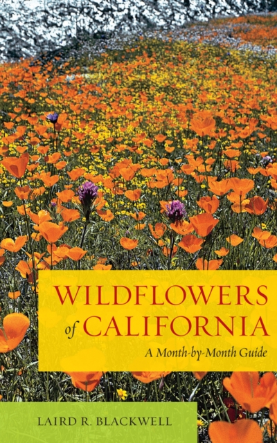 Wildflowers of California : A Month-by-Month Guide, Hardback Book