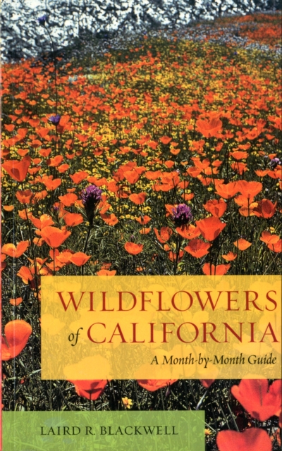 Wildflowers of California : A Month-by-Month Guide, Paperback / softback Book