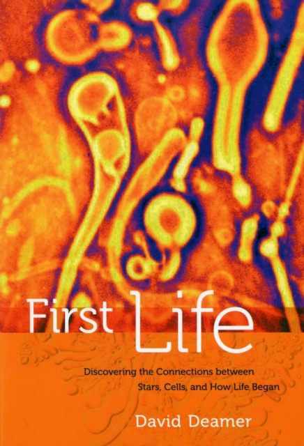 First Life : Discovering the Connections between Stars, Cells, and How Life Began, Paperback / softback Book