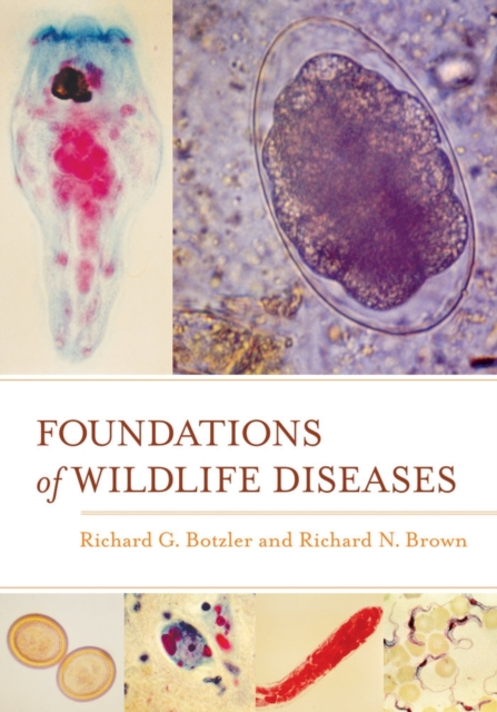 Foundations of Wildlife Diseases, Hardback Book