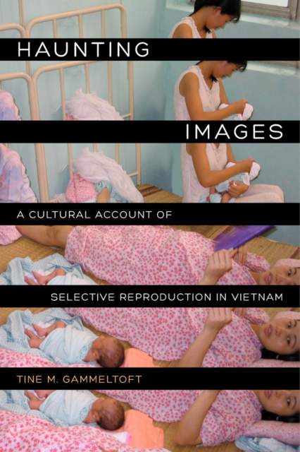 Haunting Images : A Cultural Account of Selective Reproduction in Vietnam, Hardback Book