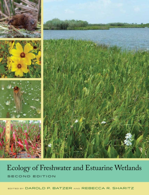 Ecology of Freshwater and Estuarine Wetlands, Hardback Book