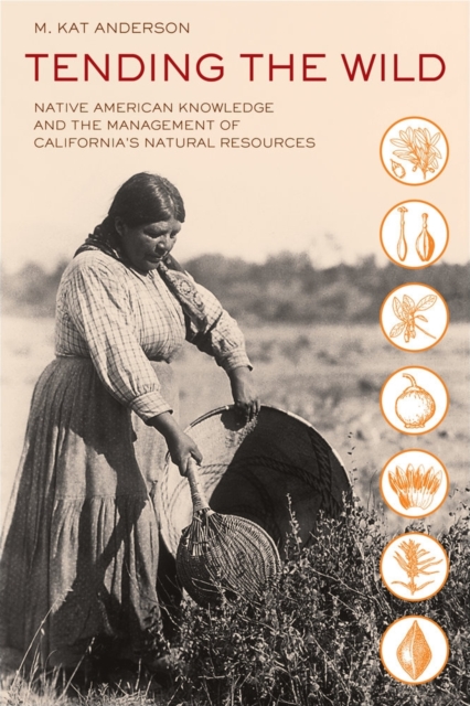 Tending the Wild : Native American Knowledge and the Management of California's Natural Resources, Paperback / softback Book