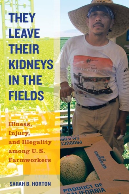 They Leave Their Kidneys in the Fields : Illness, Injury, and Illegality among U.S. Farmworkers, Hardback Book