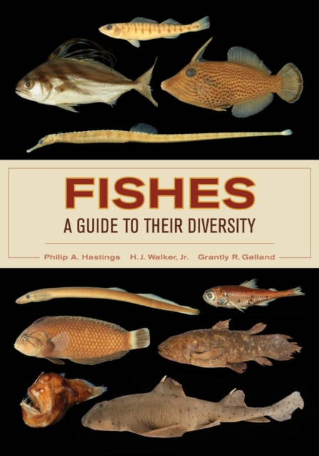 Fishes: A Guide to Their Diversity, Paperback / softback Book