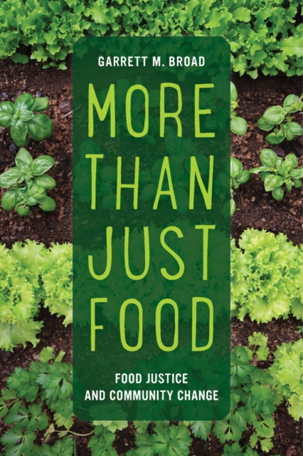 More Than Just Food : Food Justice and Community Change, Paperback / softback Book