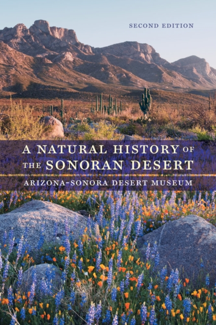 A Natural History of the Sonoran Desert, Paperback / softback Book